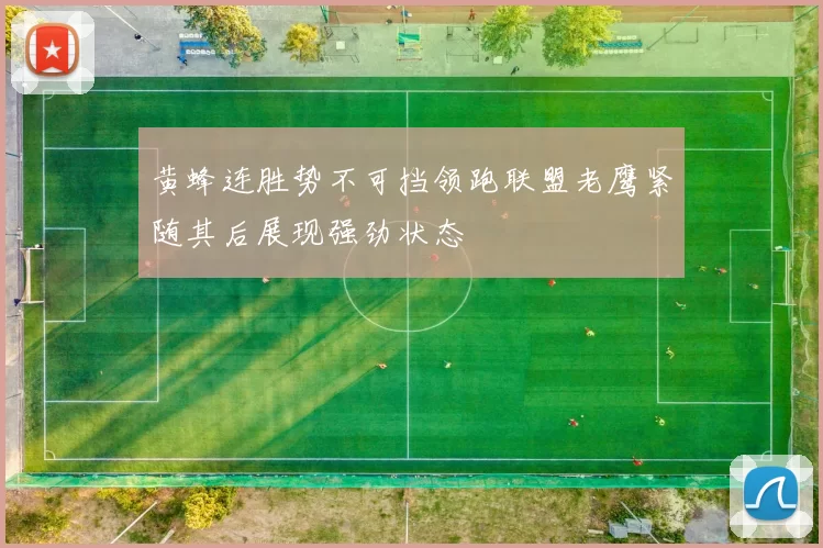 黄蜂连胜势不可挡领跑联盟老鹰紧随其后展现强劲状态