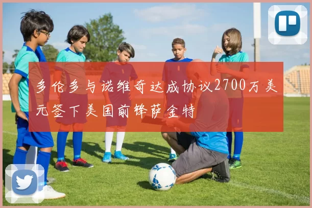 多伦多与诺维奇达成协议2700万美元签下美国前锋萨金特